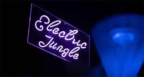 Electric Jungle Christmas Parties 2024 at The Hampshire Court Hotel with Best Parties Ever